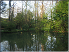 foto Parco Sebellin in Primavera